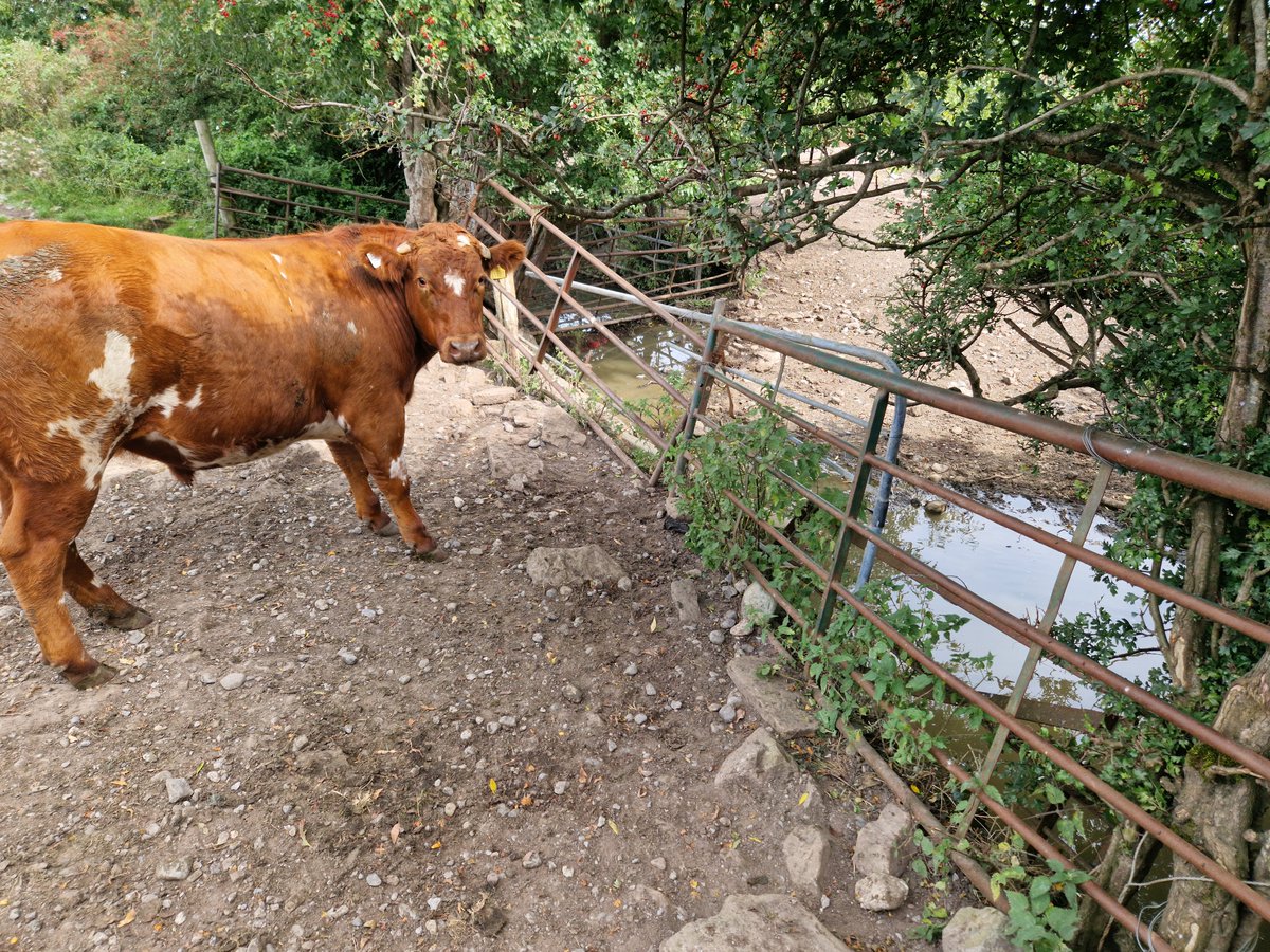 East Coast Catchment Science - Dónal O'Keeffe tweet media