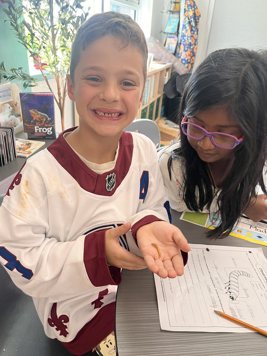 Grade2Garden's tweet image. We are examining the life cycle of the darkling beetle which includes a larva stage when it is a mealworm. We learned that God gave us our 5 senses and we using them alto explore these little creatures. @StGiannaOCSB @OttCatholicSB #ocsboutdoors #ocsbDeepLearning @ocsbRE