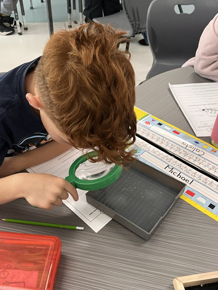 Grade2Garden's tweet image. We are examining the life cycle of the darkling beetle which includes a larva stage when it is a mealworm. We learned that God gave us our 5 senses and we using them alto explore these little creatures. @StGiannaOCSB @OttCatholicSB #ocsboutdoors #ocsbDeepLearning @ocsbRE