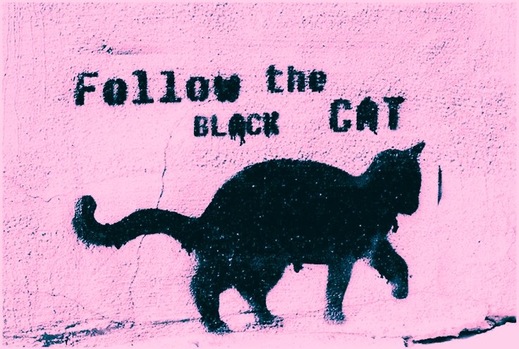 ɪᴛ'ꜱ ᴀʟʟ ʟɪᴇꜱ, ᴅᴀʀʟɪɴɢ.

—

Mia Joy "MJ" Hardy

Earth-425's 𝓑𝓵𝓪𝓬𝓴 𝓒𝓪𝓽

A petty thief, with something more dangerous lurking underneath. . .