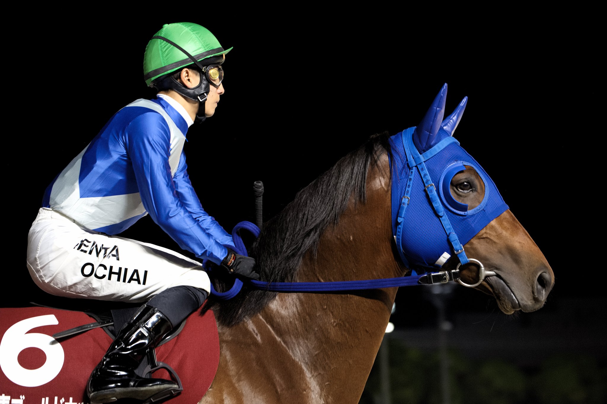 合う馬 合う馬 ゴルフ好きにおすすめです! スリクソン ZX MK2シリーズの