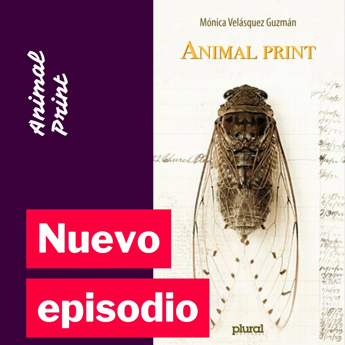 ¡🆕 episodio! Animal Print de Mónica Velásquez Guzmán nos invita a pensar con los animales, no por ellos. No te pierdas su presentación junto a María Ángeles Pérez López y María Lucía Puppo.

🎧 Disponible ya en Hablemos, escritoras y en video en YouTube.

hablemosescritoras.org/posts/6988