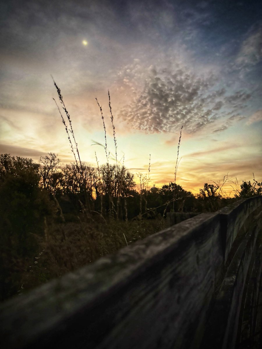 DENISE B (@deniseb2909) on Twitter photo The morning sky did not disappoint today. 🧡 The morning sky did not disappoint today. 🧡
