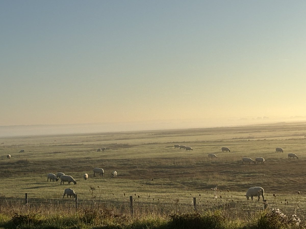 Visite de l’abbaye du Mont-Saint-Michel et balade dans la baie avec nos partenaires tchèques sur le thème « patrimoine, tourisme et développement durable ». #Engagement #developpementdurable 
<a href="/EUErasmusPlus/">Erasmus+</a> <a href="/dsden50/">DSDEN 50</a> <a href="/VilleCherbourg/">Ville de Cherbourg-en-Cotentin</a> <a href="/Drareicnormande/">DRAREIC Normandie</a>