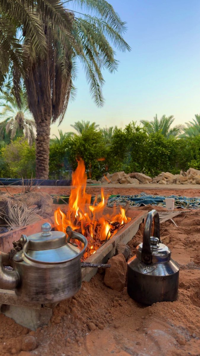 ryan88219's tweet photo. عصر الجمعة بالمزرعة. https://t.co/jJe8c0UlFr