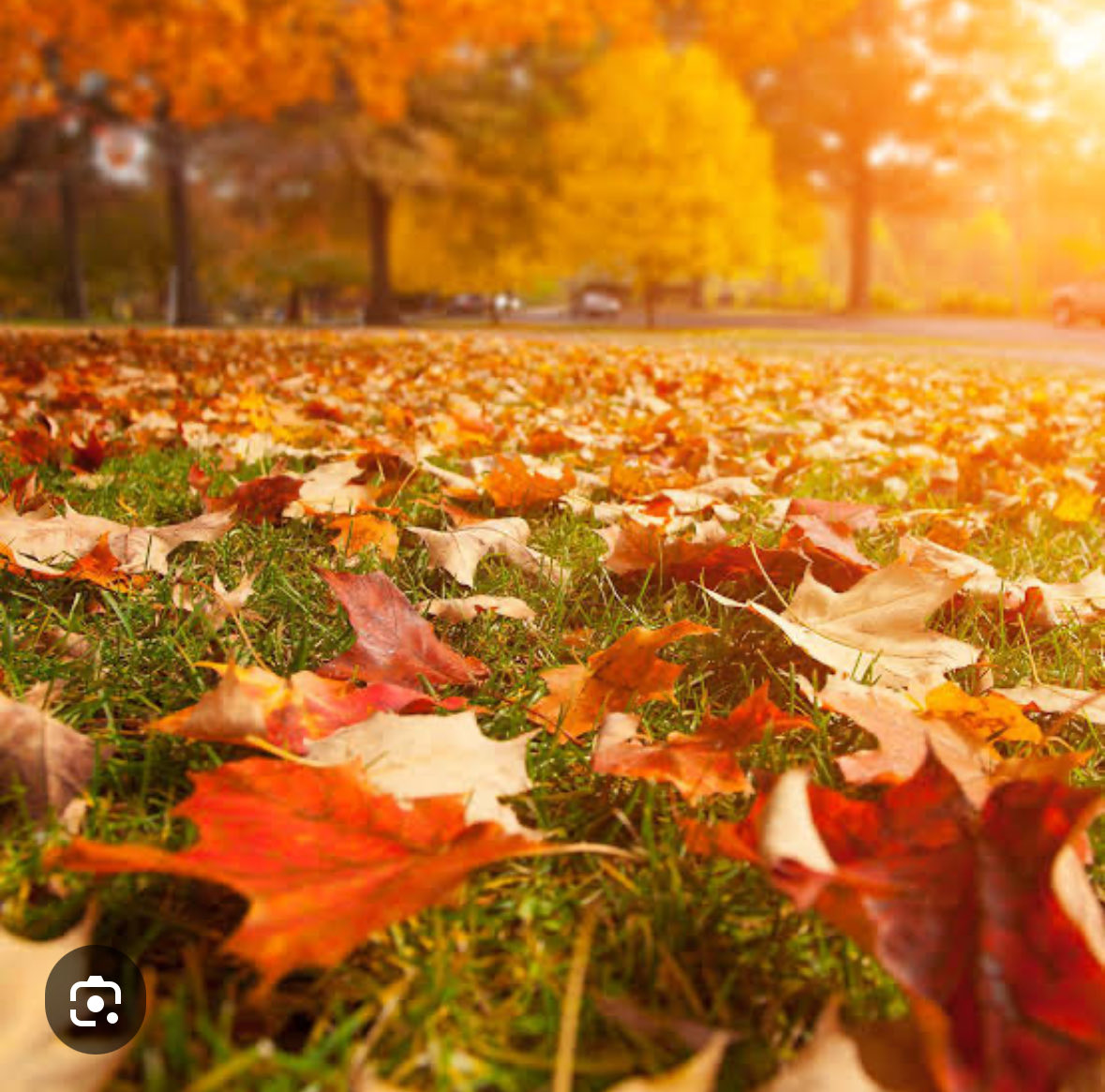 POEM:
Monetization baiting
for human attention
makes the tectonic plates
of earth shift and scream,
the grating sounds
of high-pitched whine.
The soul cries
of repeated stolen
time, ticking away,
seconds stolen
by human greed,
acts of horrific violence,
an endless war for Time,