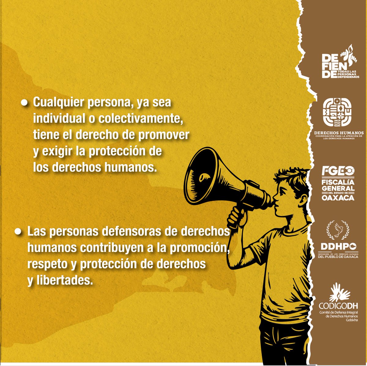 Todas y todos tenemos derechos humanos y podemos defenderlos.

Todas las personas #Defendemos