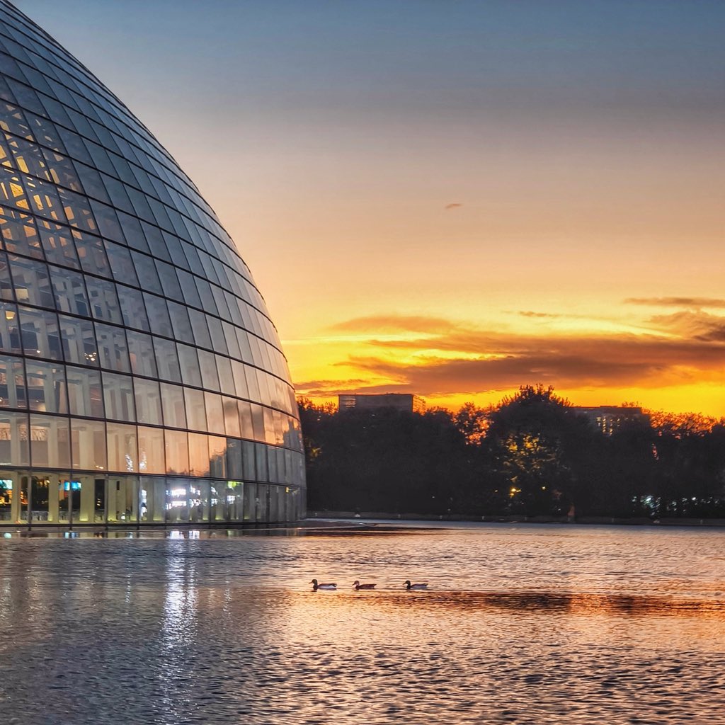 Golden hour magic✨