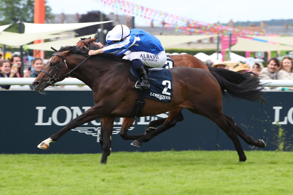 Racing Post Bloodstock (@rpbloodstock) on Twitter photo 🇫🇷 "Launching our own stallion station marks the realisation of a long-held ambition."
Normandy’s Castillon Stallions launches with Marhaba Ya Sanafi and Tribalist among debut six-strong roster
Read more here 👉 bit.ly/4o62QlV 🇫🇷 "Launching our own stallion station marks the realisation of a long-held ambition."
Normandy’s Castillon Stallions launches with Marhaba Ya Sanafi and Tribalist among debut six-strong roster
Read more here 👉 bit.ly/4o62QlV