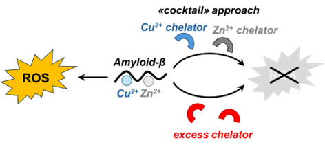 Alzheimer, Amyloids and Bioinorganic Chemistry tweet media