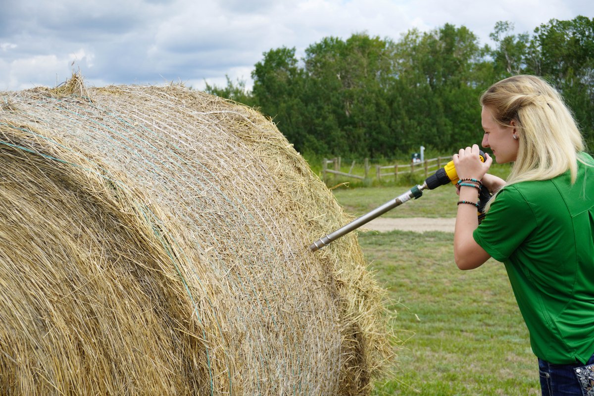 A feed test could save you money this winter. A recent research project found that producers who feed tested had 12 per cent lower costs in their winter feeding rations than producers who didn't. 

Learn more: beefresearch.ca/fact-sheets/un…