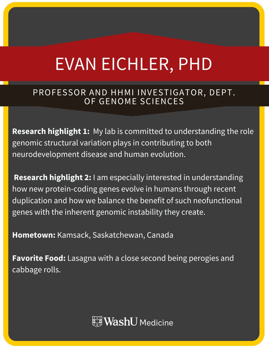 Join <a href="/WashUGenetics/">WashU Medicine Genetics</a> this Thursday Oct. 23 <a href="/12pm/">nour zohbi</a> in Connor Auditorium when Evan Eichler, PhD,<a href="/EichlerLab/">EichlerLab</a>  presents “Complete genomes and complex structural variation”, hosted by Tychele Turner, PhD,<a href="/tycheleturner/">Tychele Turner</a>