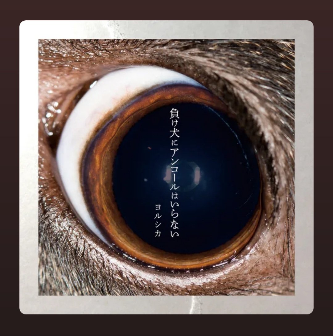 HiU ◂Ⓘ▸ 4/18-19 tweet media