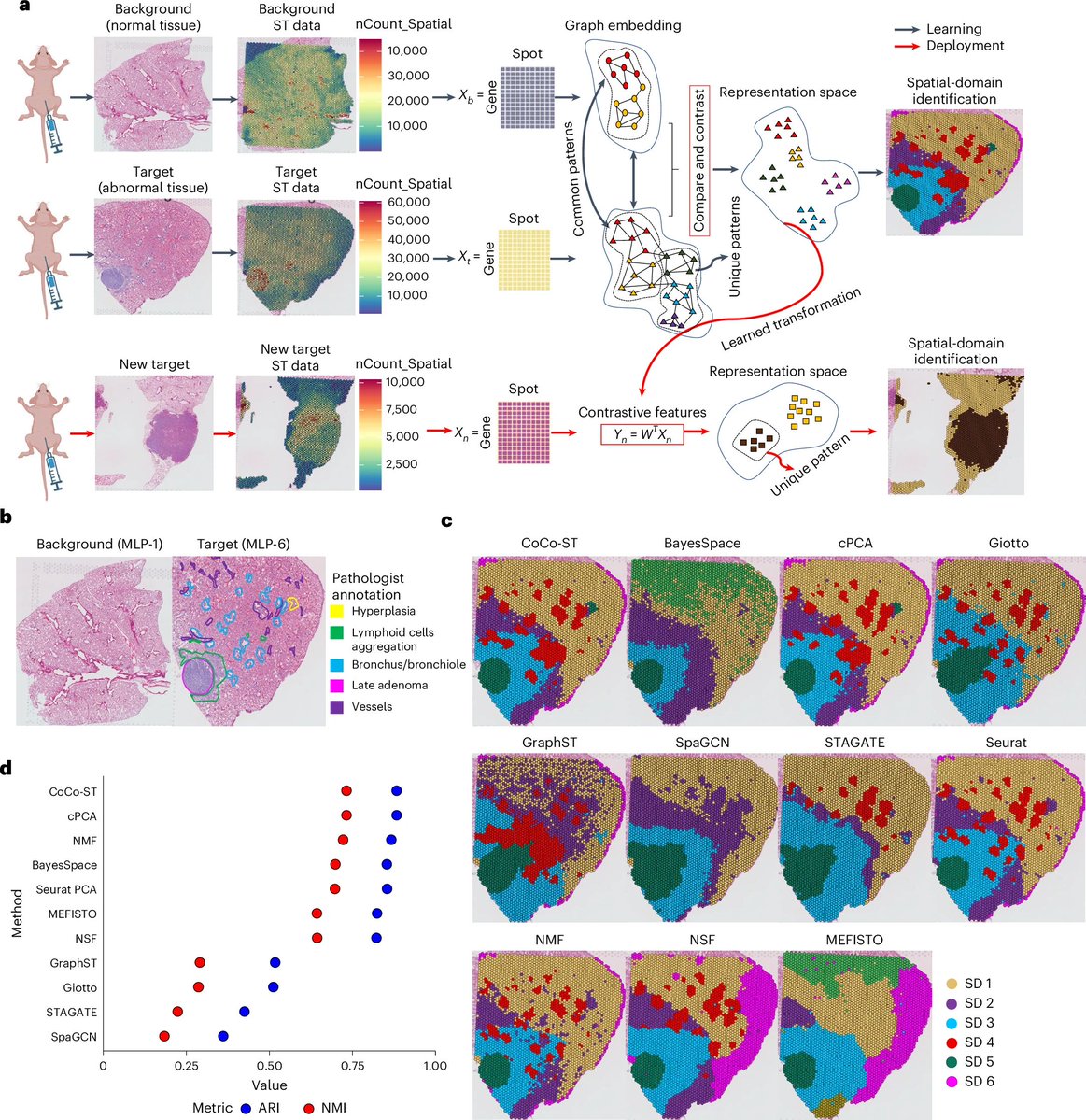 jsantoyo's tweet image. CoCo-ST detects global and local biological structures in spatial transcriptomics datasets. #SpatialTranscriptomics #VarianceIdentification @NatureCellBio
nature.com/articles/s4155…