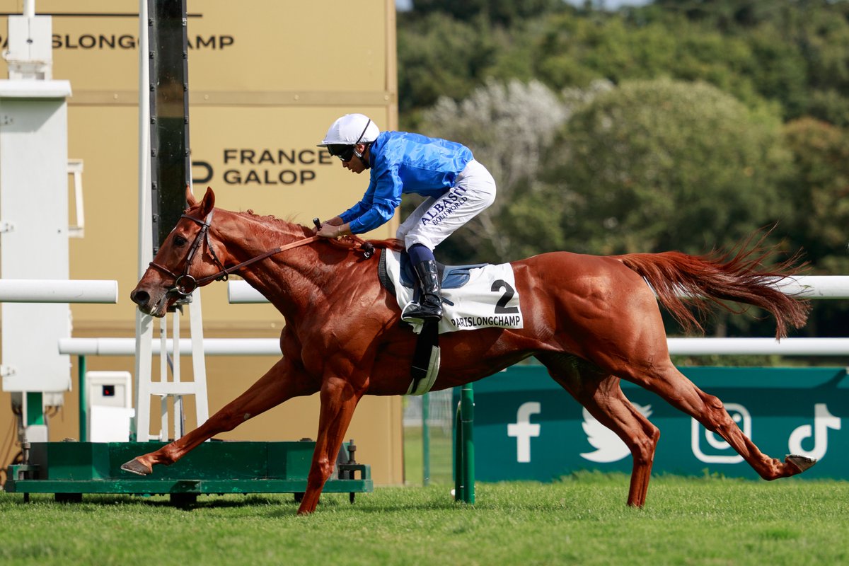 Darley in Europe tweet media