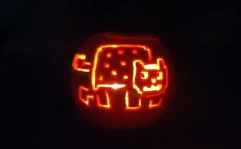 Nyan Cat tweet media