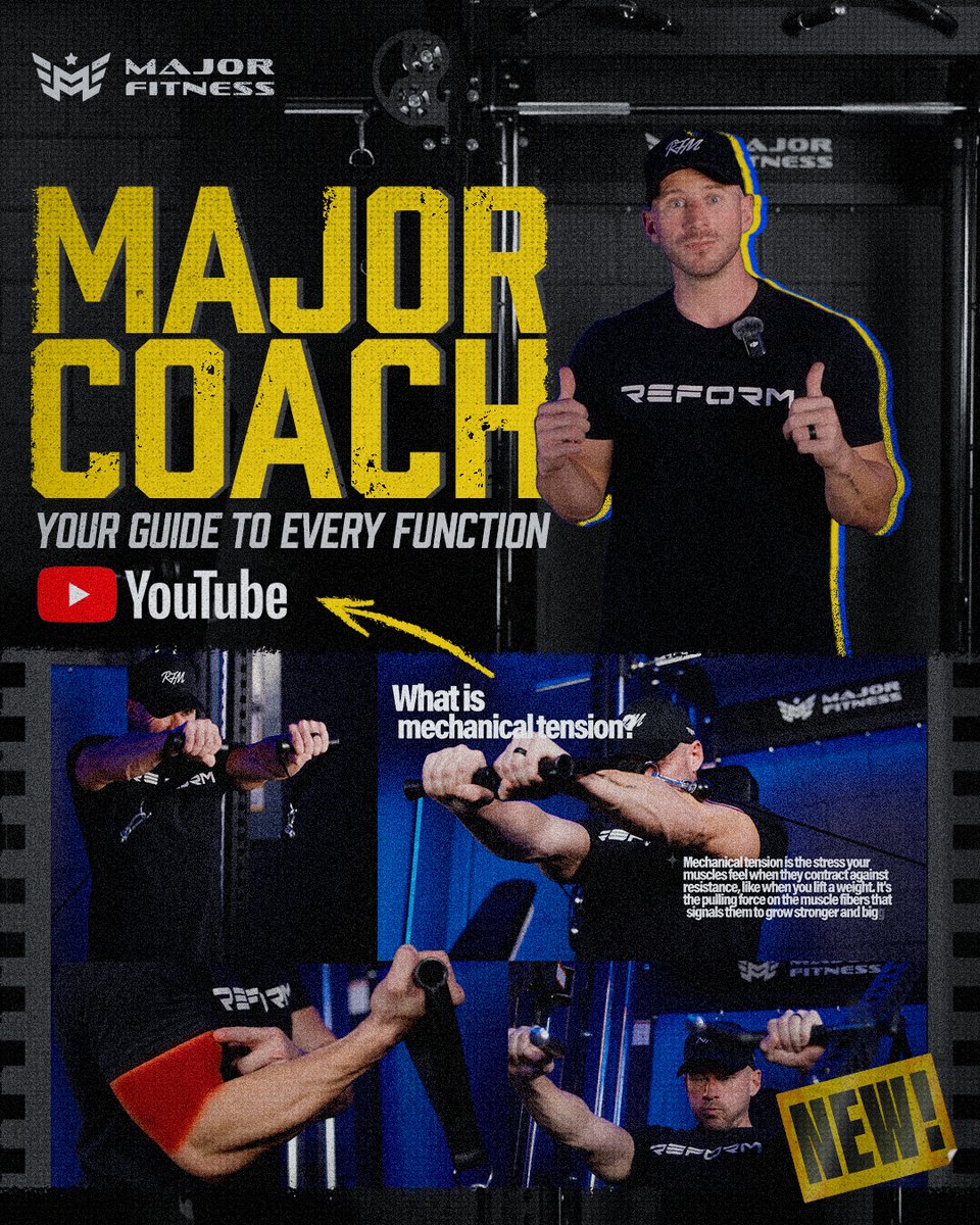 Major Fitness | Gym Equipment (@MajorLutie) / Posts / X