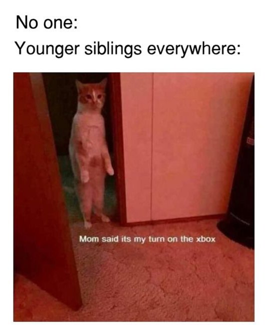 WholesomeMemes (@wholesomememe) on Twitter photo 