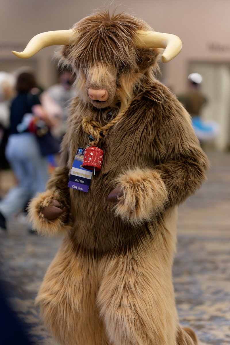 Fergus the highland coo wishing you a happy #FursuitFriday
📸 = NopFox
✂️ = Made by Eddie Bear

Horns, silicone nose, cloppers and heavily modified head base by <a href="/DvC_Ciara/">DreamVision Creations ⏩ MFF</a> <a href="/MonoyashaDvC/">Monoyasha @MFF</a>