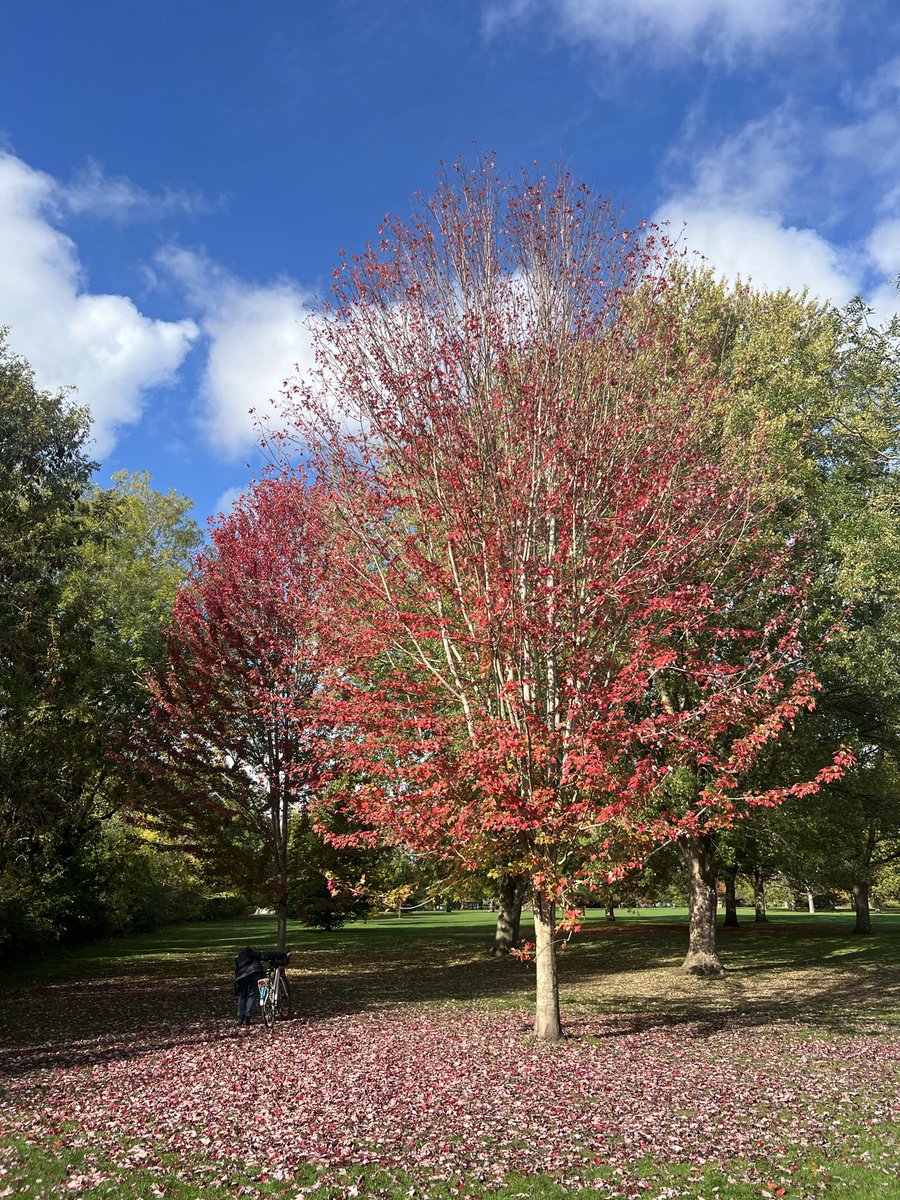 RalfBox's tweet image. Autumn vibes in Cambridge 🇬🇧