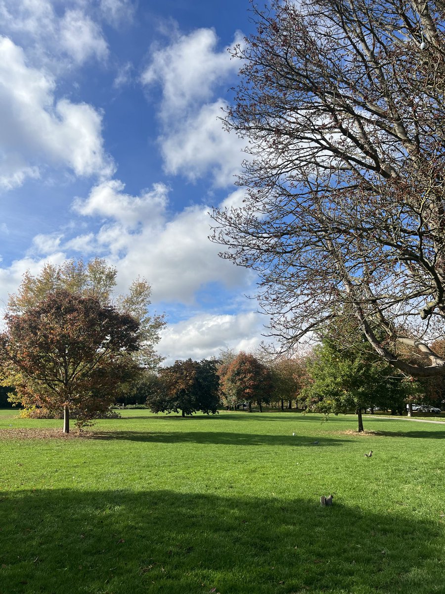 RalfBox's tweet image. Autumn vibes in Cambridge 🇬🇧