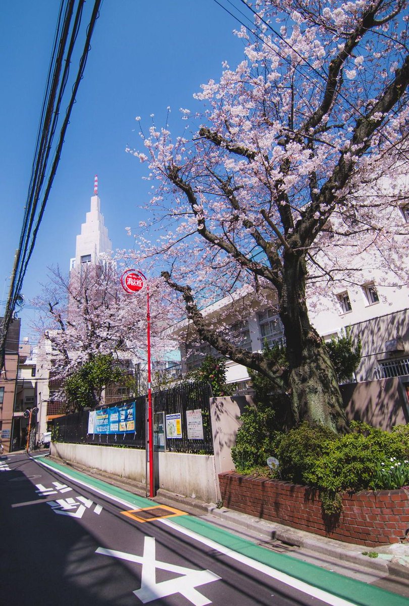 18_bme's tweet image. もやもやな気分 👨‍🦳