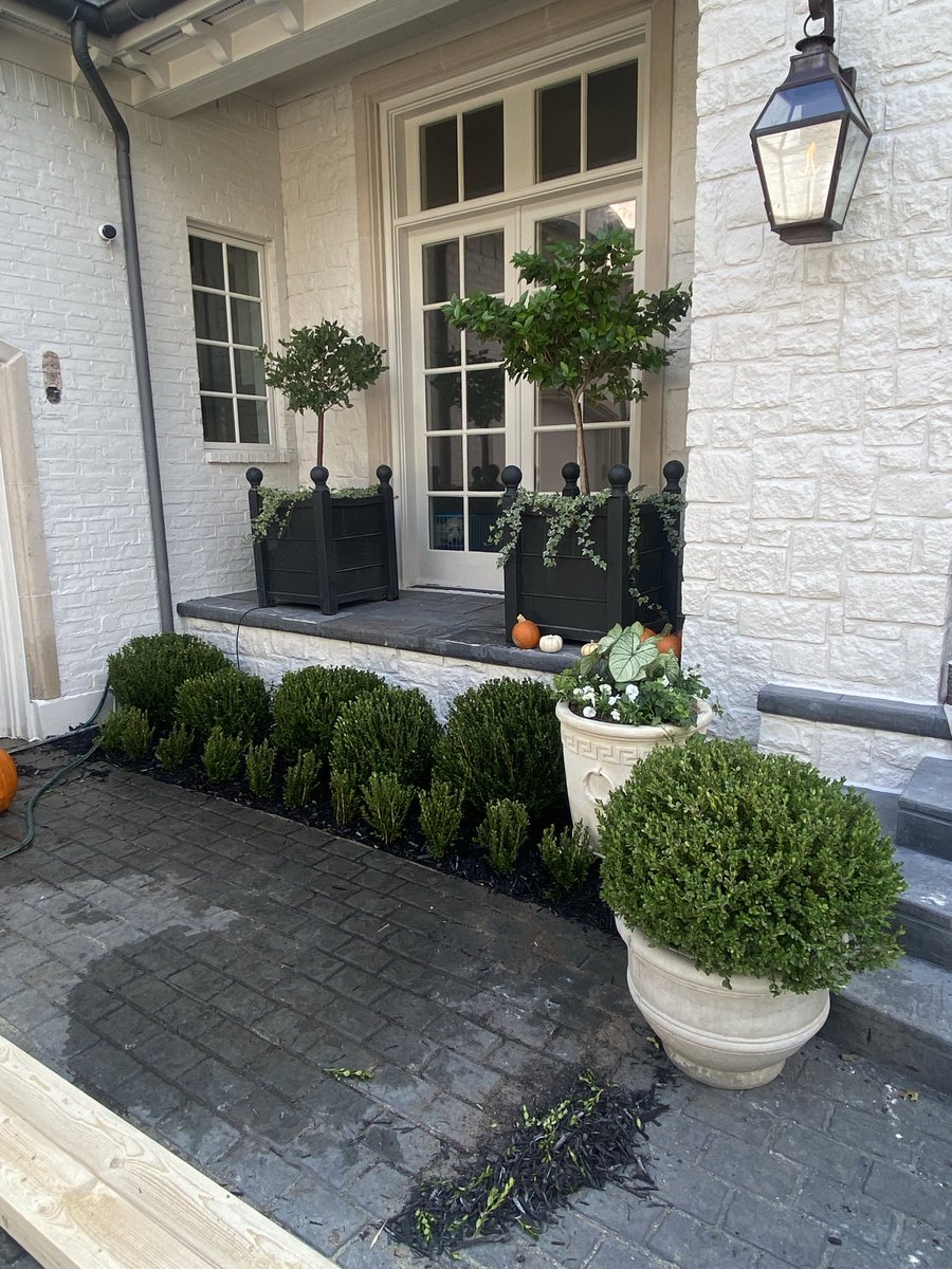 Victory_Turf's tweet image. Cleaned the motor court part of this home up nicely! Star Jasmine trained to wire we installed along with boxwood plantings.