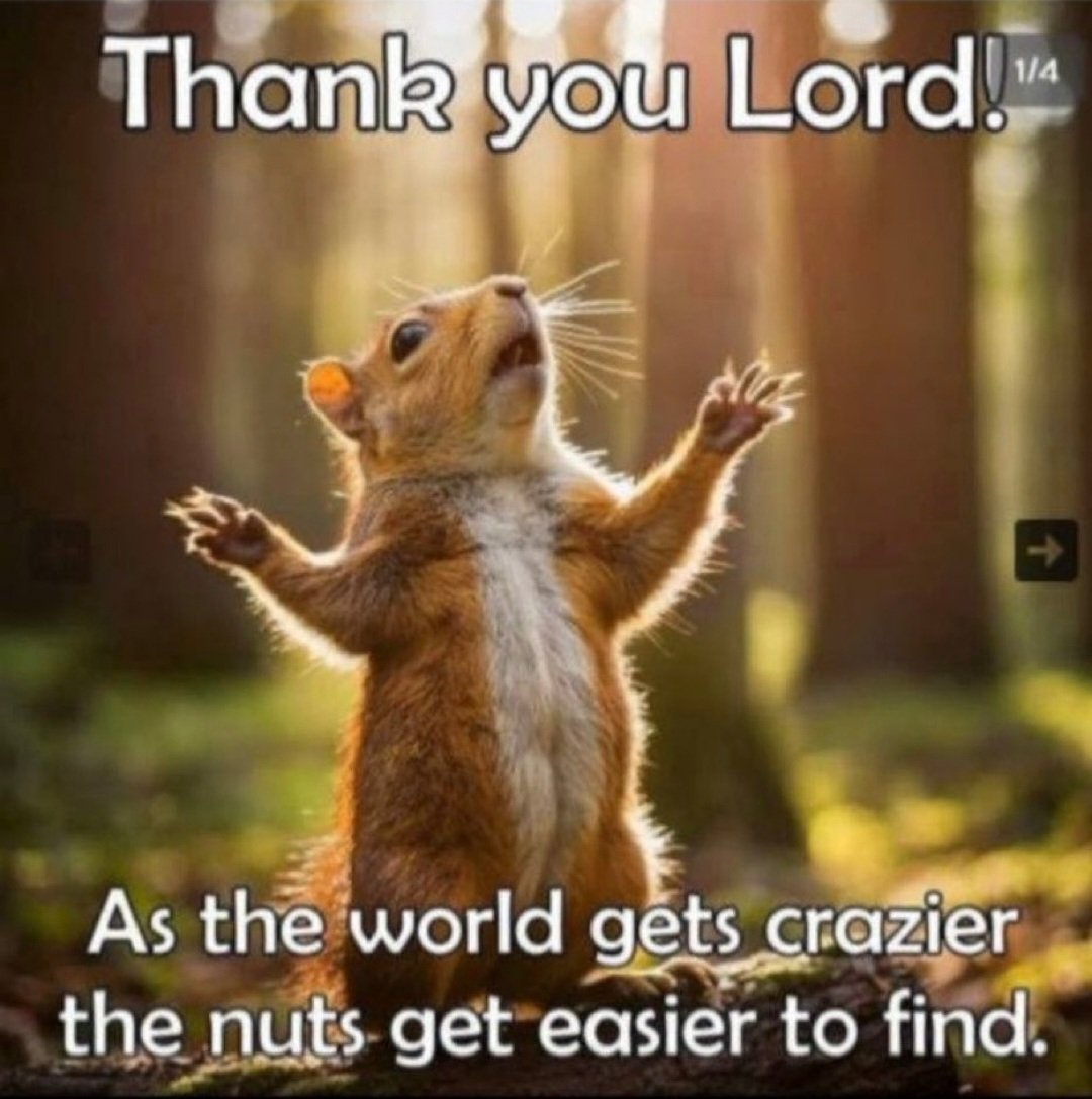 sitamisban44064's tweet image. 