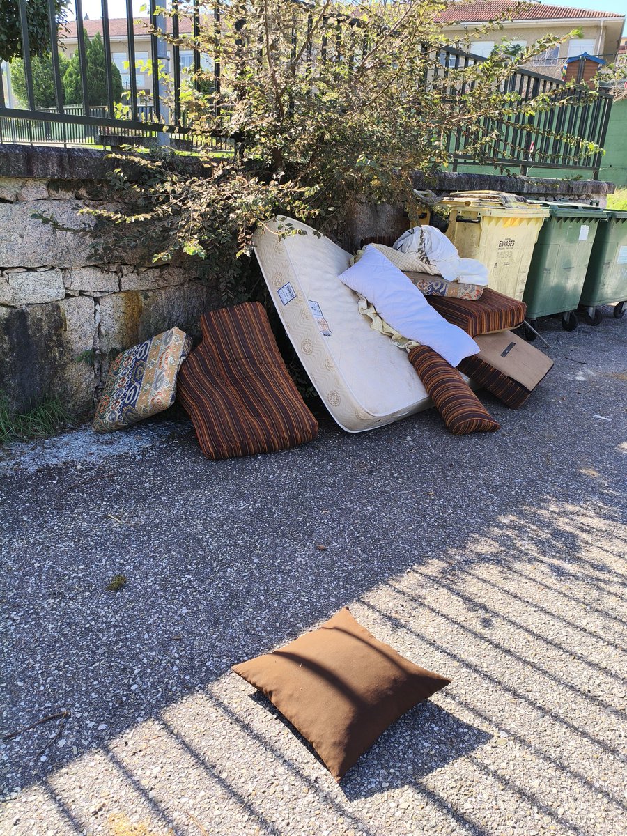 David Coimbra tweet media