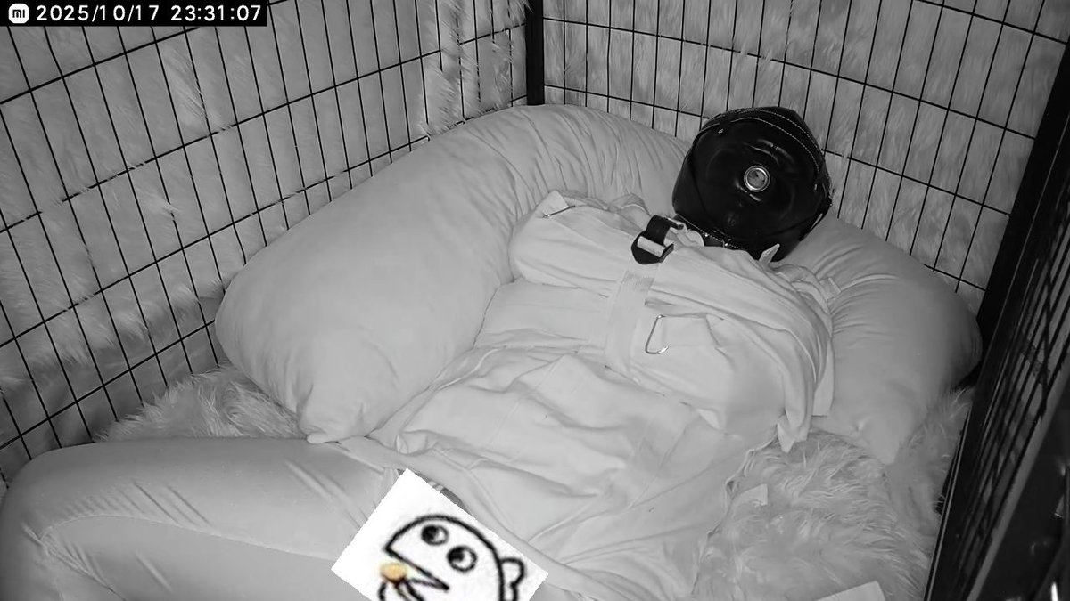 福尔马林鱿鱼酱 tweet media