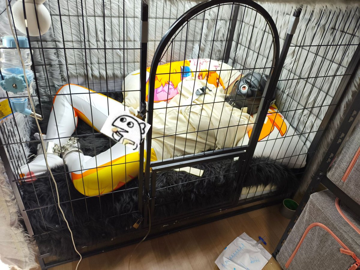福尔马林鱿鱼酱 tweet media