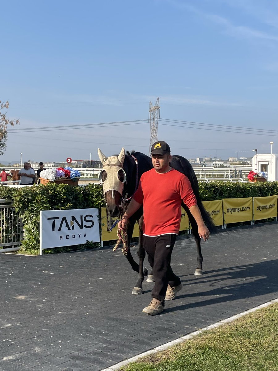 Szercelk's tweet image. Kızımm🫶🐴
#bursa