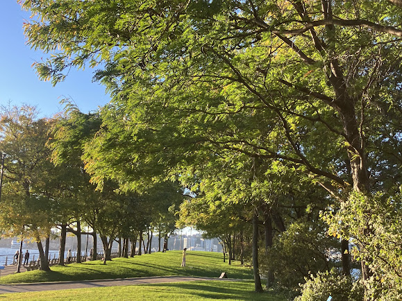 homebalancer's tweet photo. Beautiful, sunny Autumn days at Hudson Square Park, Chelsea, NYC. Leaves are starting to change.
City Parks Foundation #ny1pic #photography #NaturePhotography #photographers #Cityliving #timeoutnewyork #ThePhotoHou #thisisnewyorkcity #hudsonriverpark https://t.co/kgfwjkLyxH