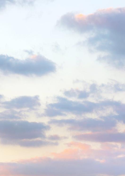 amzsofia's tweet image. 犬はなぜかな？ 🧐