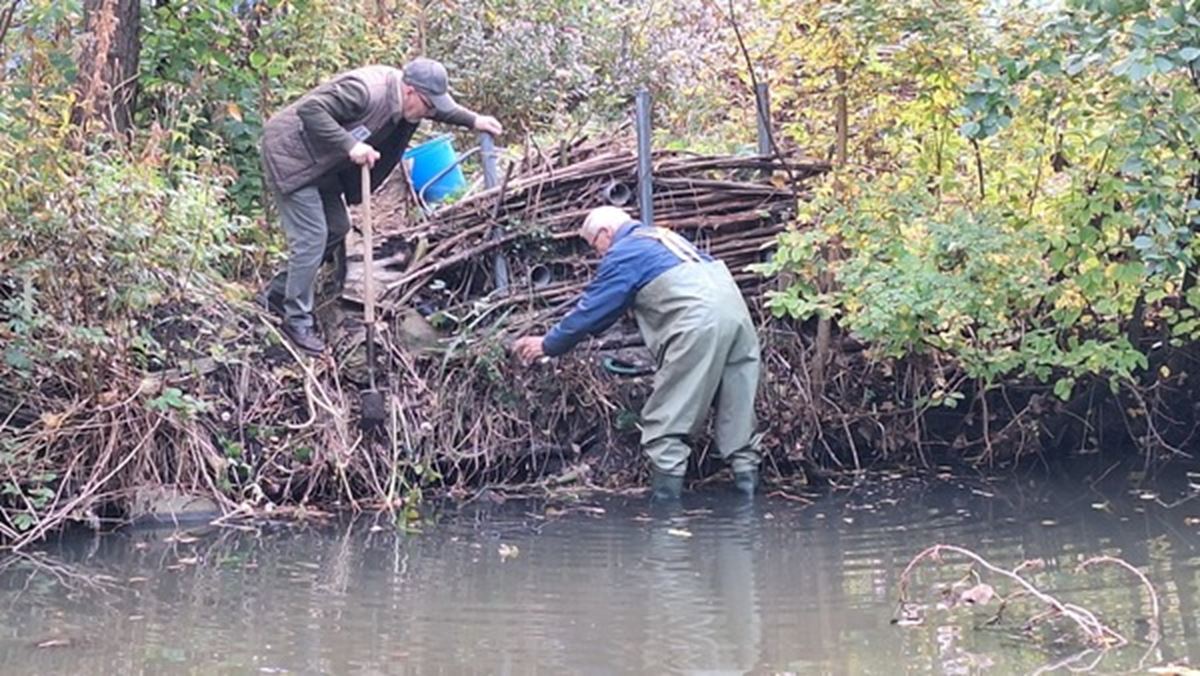 IJsvogelwand geplaatst bij De Boshoek in Schiedam Noord

'Een ijsvogel is eigenlijk een géén-ijsvogel...'

deschiedammeronline.nl/artikel/detail…