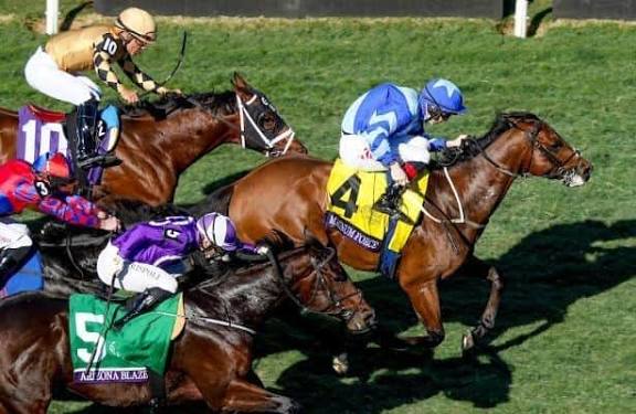 HORSERACING1002's tweet photo. MAGNUM FORCE🇮🇪2022
(MEHMAS - TROPICAL ROCK BY FASTNET ROCK)
#MagnumForce
B/O Sheikh Abdullah Bin Isa Al-Khalifa 🇮🇪April 1, 2022
T/ G. M. Lyons
7-2-2-1---$580,193
Breeder's Cup Juvenile Turf Sprint G1,
2nd Roses S,
3rd Flying Childers S G2 https://t.co/veKtTw6hjW