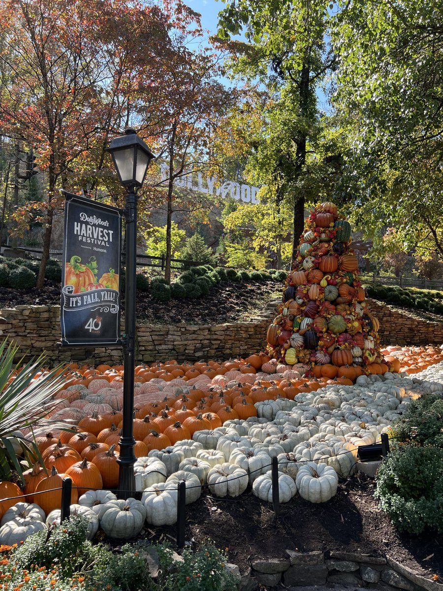 Snapshots Made Yesterday tweet media