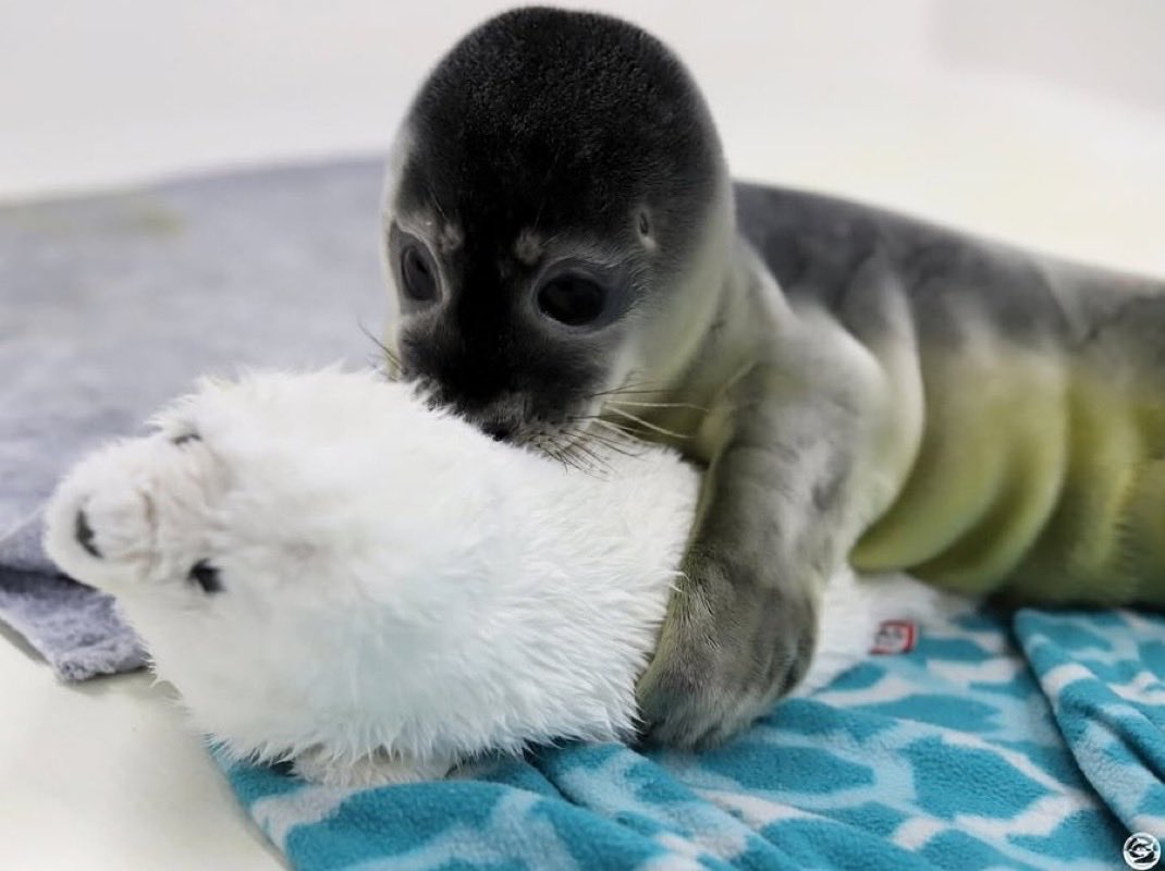 this is me hugging my pillow when i sleep
