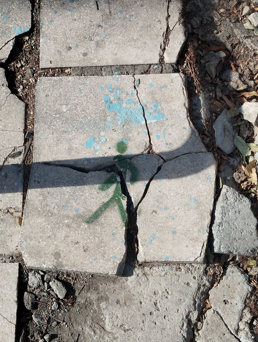 katerin87813001's tweet photo. #TheWrongPlace to walk, Mr Green #PMJWeeklyChallenge https://t.co/9dNVZQafu8