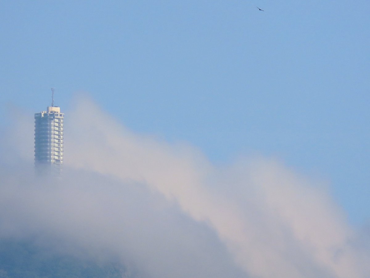 Isidro Nando Pestana tweet media