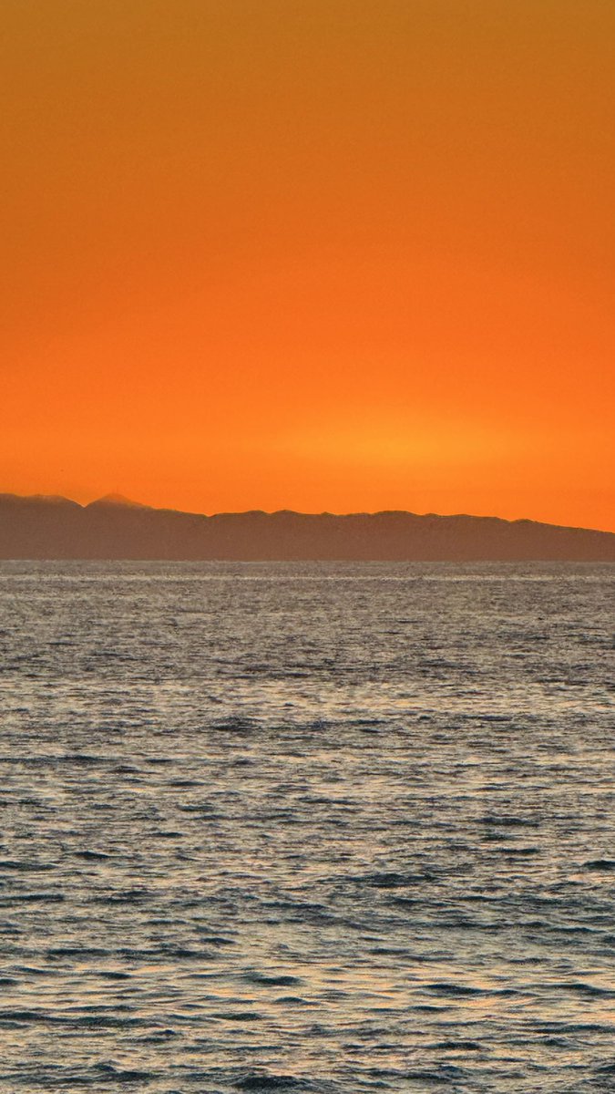 Mete Horozoğlu tweet media