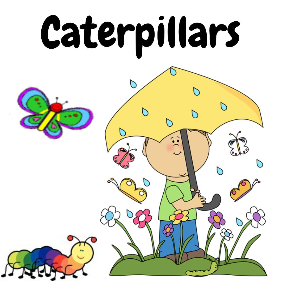 Brentwood Schools Christian Worker Trust tweet media