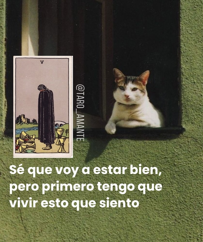 eltarotde_agos's tweet photo. No hay que reprimir el sentir cuándo hay algo que no esta saliendo bien, a veces detenerse y abrazar el sentir hace que se libere todo mas rápido para luego si continuar. https://t.co/n9yBBbgEKb