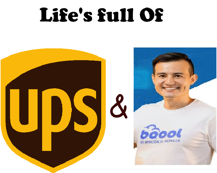 Cecilia Flip tweet media