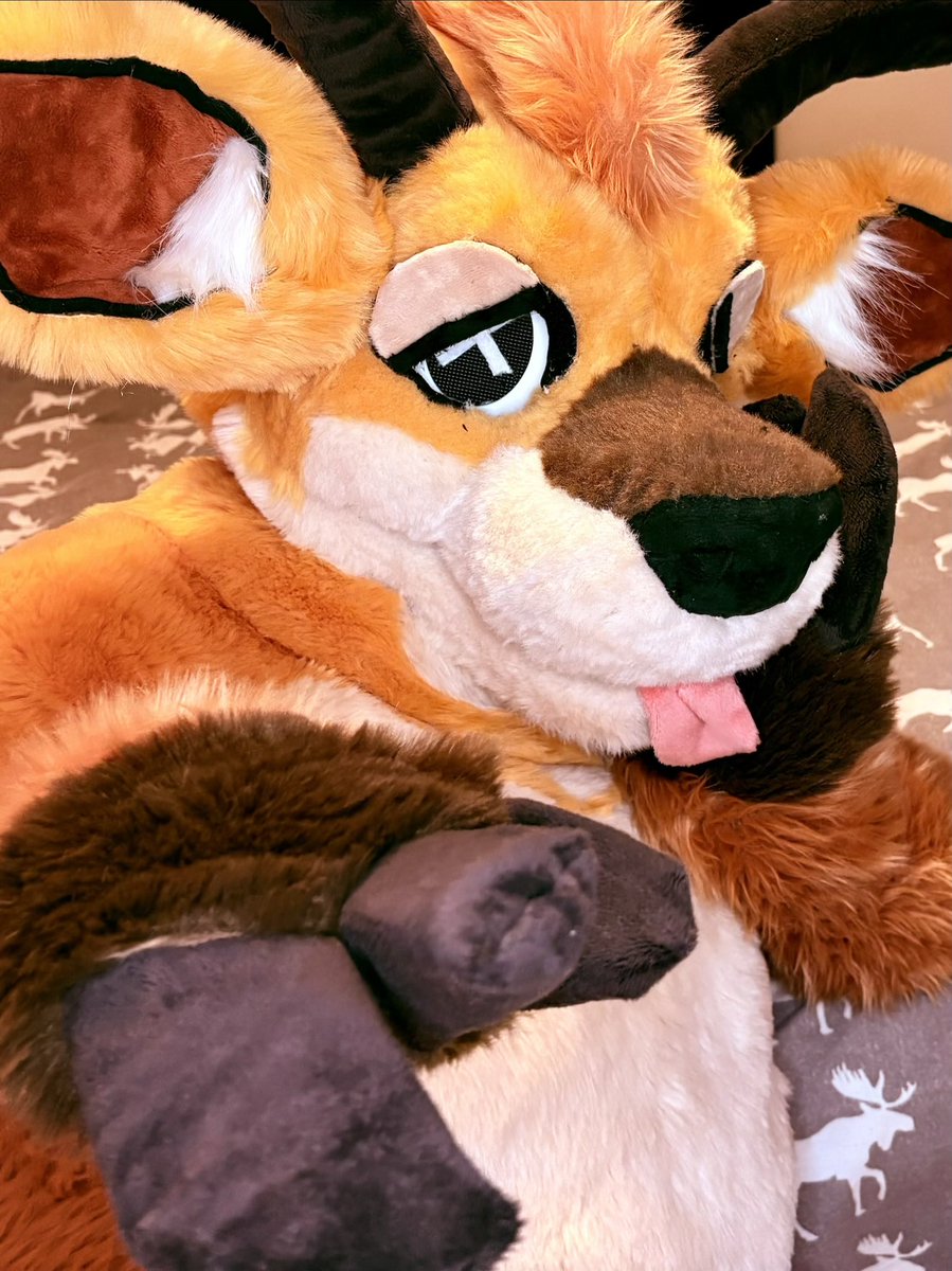 PoV you’re about to get booped by the moose bed

#fursuitfriday