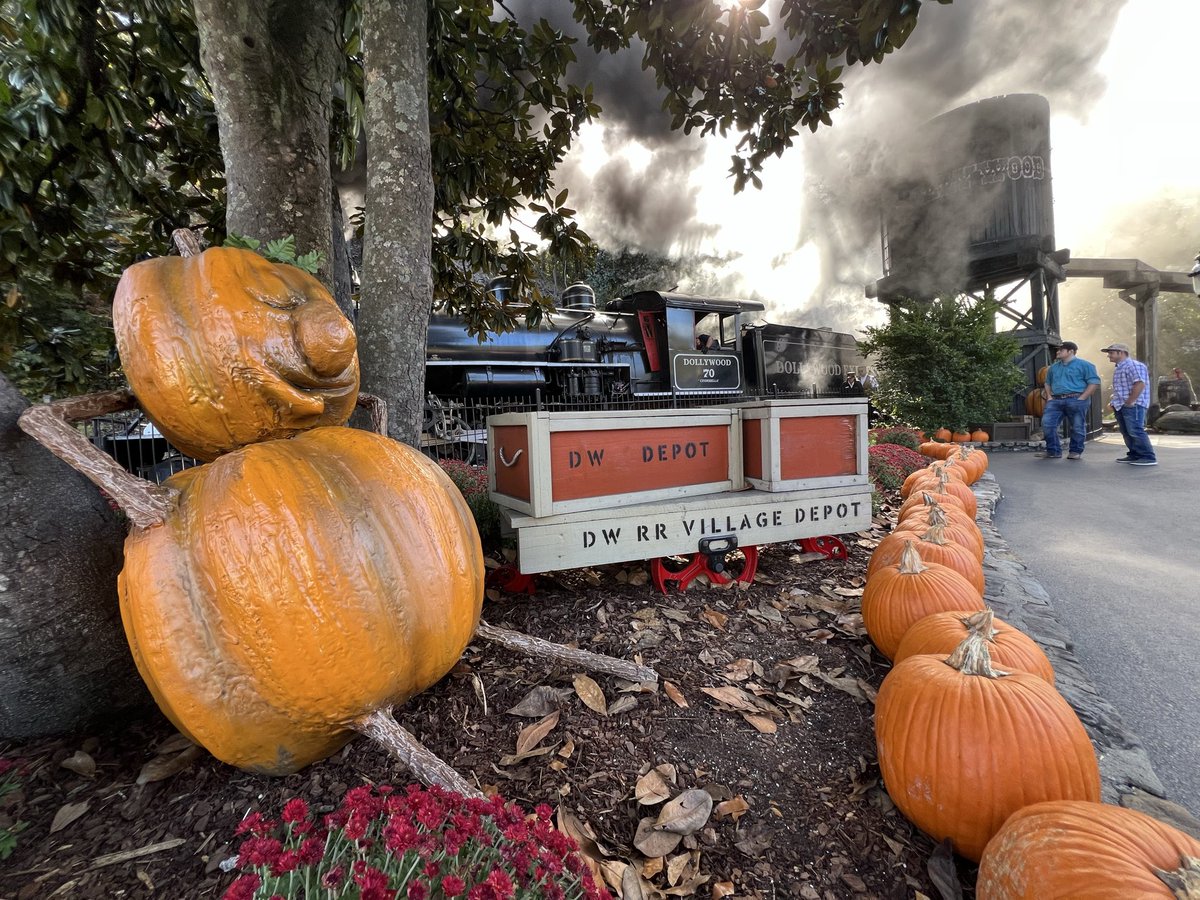 Snapshots Made Yesterday tweet media