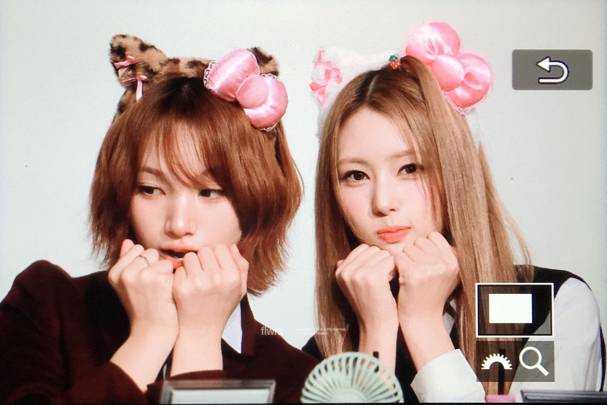 flwrs624's tweet photo. 251017 #이프아이 #ifeye #원화연 #WONHWAYEON https://t.co/LaBuC4i2gA