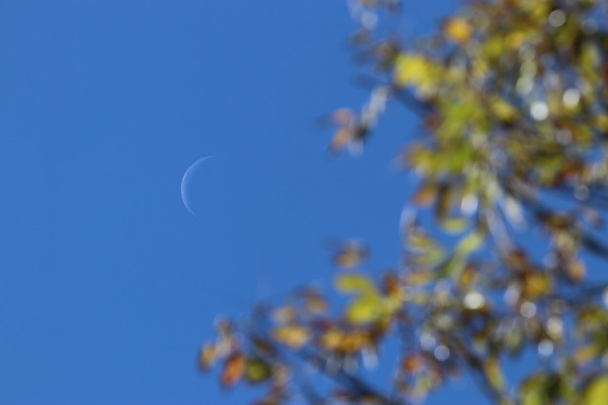 Mid-October Moon...
#SpectrumNews1 #ncwx #Moon #Fall2025