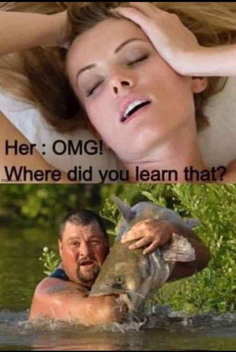 Bearded_sigma (@bearded_sigma) on Twitter photo 