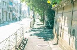 BeyeRuby's tweet image. 動物を行く 🐙